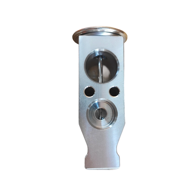 8106000A-P00 AC Expansion Valve for GWM Wingle Haval H3 H5 H6 8106000A-P00 AC Expansion Valve for GWM Wingle Haval H3 H5 H6